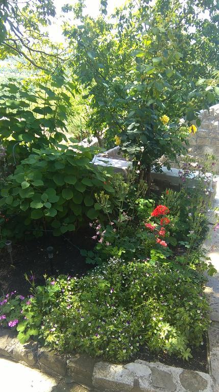 Apartment Pud Oreh Roč Екстериор снимка